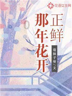 新高达破坏者